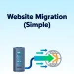 47.webp